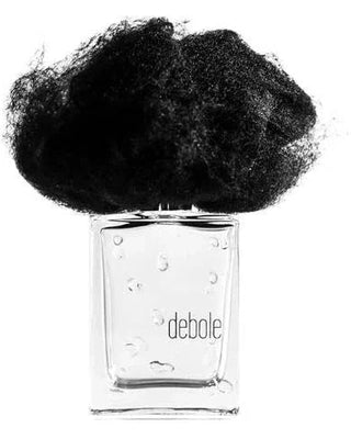 Pioggia Debole