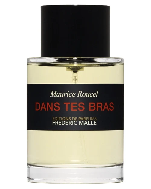 Dans Tes Bras