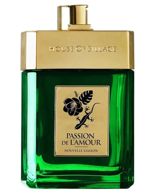 Passion De L'Amour Nouvelle Liaison