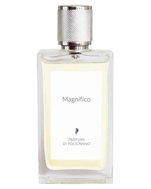 Magnifico
